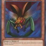 Insect Soldiers of the Sky - MRD-EN101 - Common Unlimited (25th Reprint)