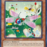 Naturia Dragonfly - HAC1-EN101 - Common 1st Edition