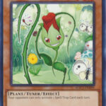 Naturia Rosewhip - HAC1-EN099 - Common 1st Edition