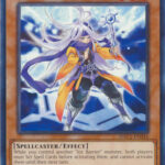 Warlock of the Ice Barrier - HAC1-EN044 - Common 1st Edition