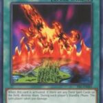 Burning Land - PSV-EN061 - Common Unlimited (25th Reprint)